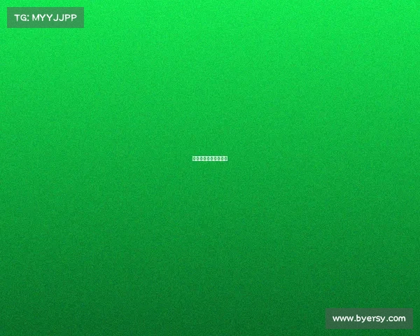 心机老师的团队都有谁